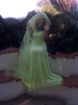 Public Photo of solena