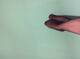 Piedi