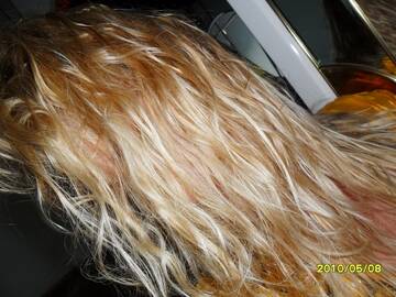 Public Photo of lacubana