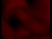 Amateur Video of Lucky_90